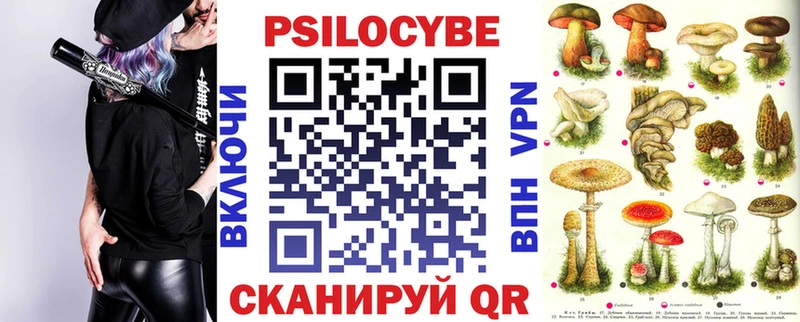 Купить закладки  Болхов  Псилоцибиновые грибы Psilocybine cubensis 